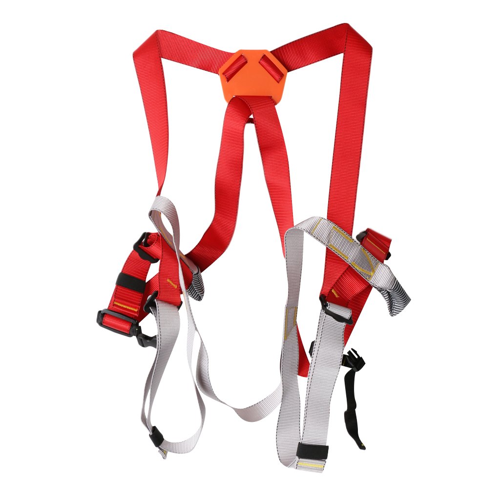 Tighten Up Professional Safety Belt