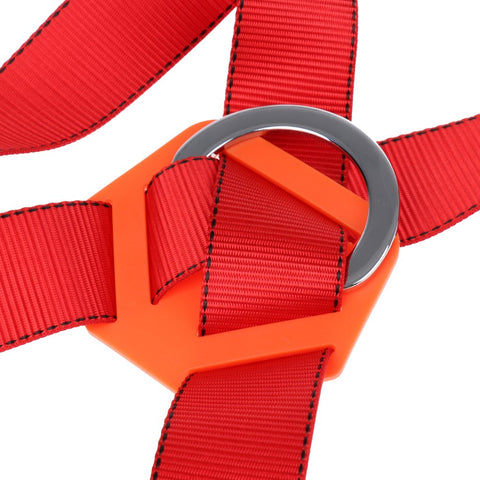 Tighten Up Professional Safety Belt