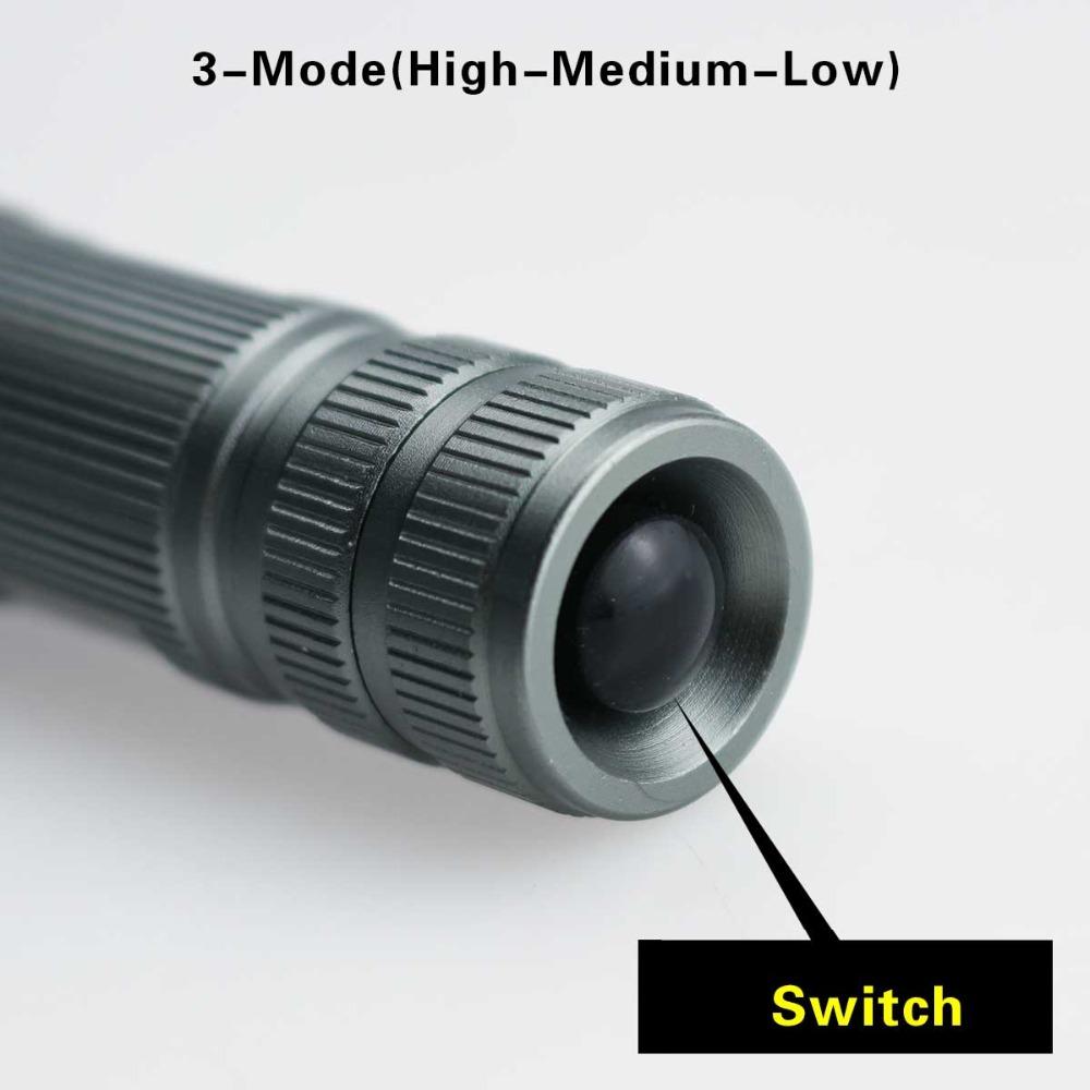 Enlighten Mini Penlight