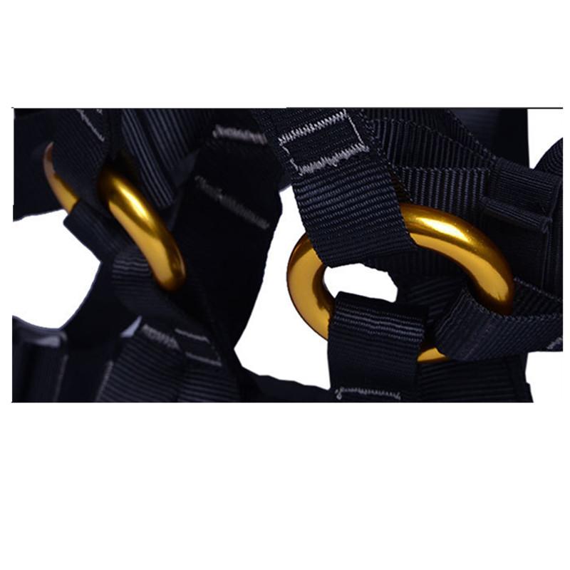 Guarantee Professional Harness